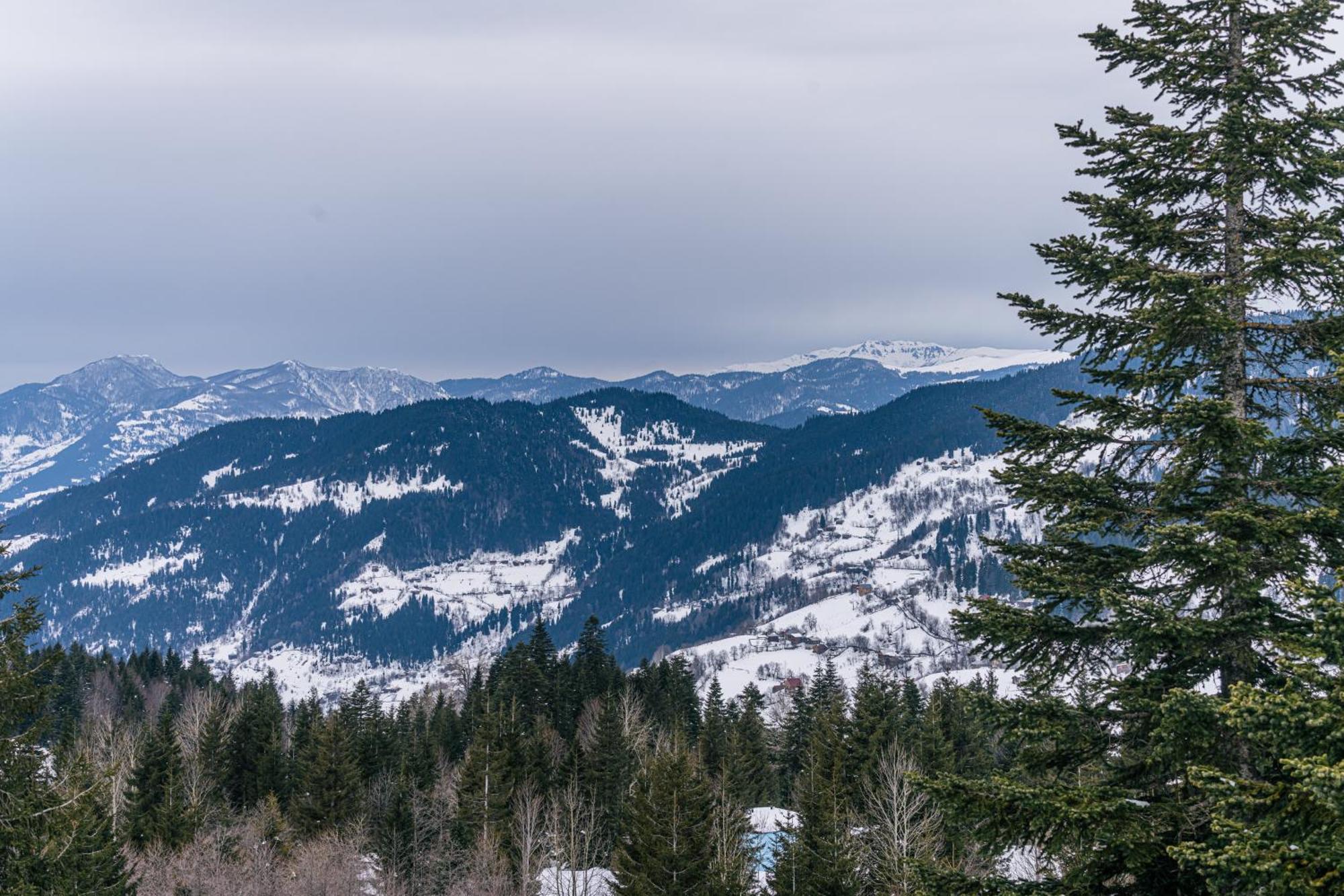 Forest Villa Goderdzi Kültér fotó