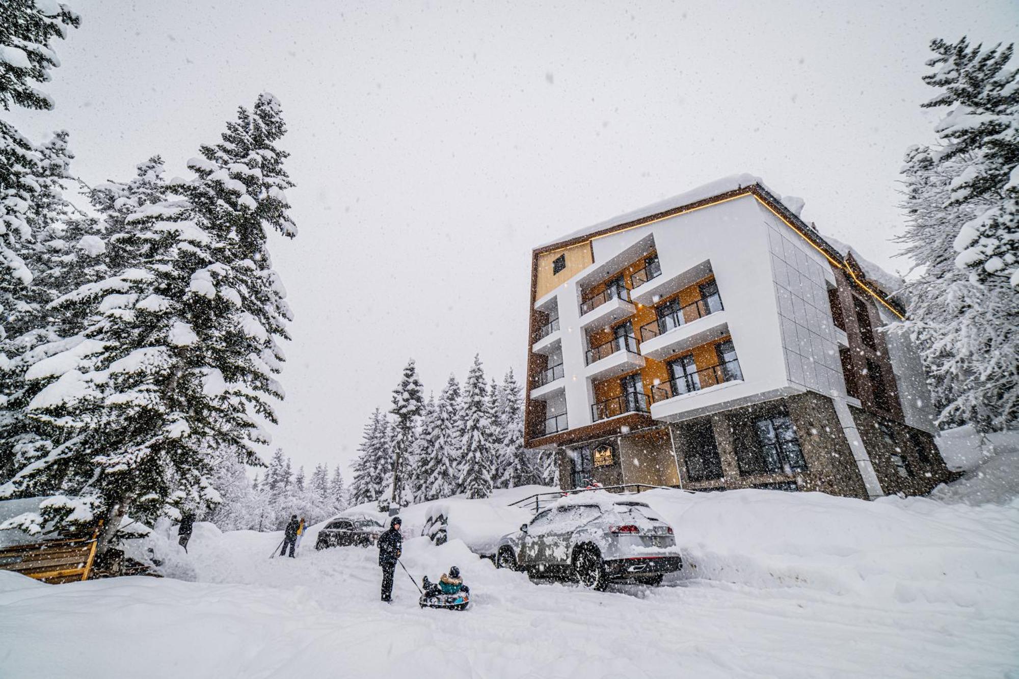 Forest Villa Goderdzi Kültér fotó