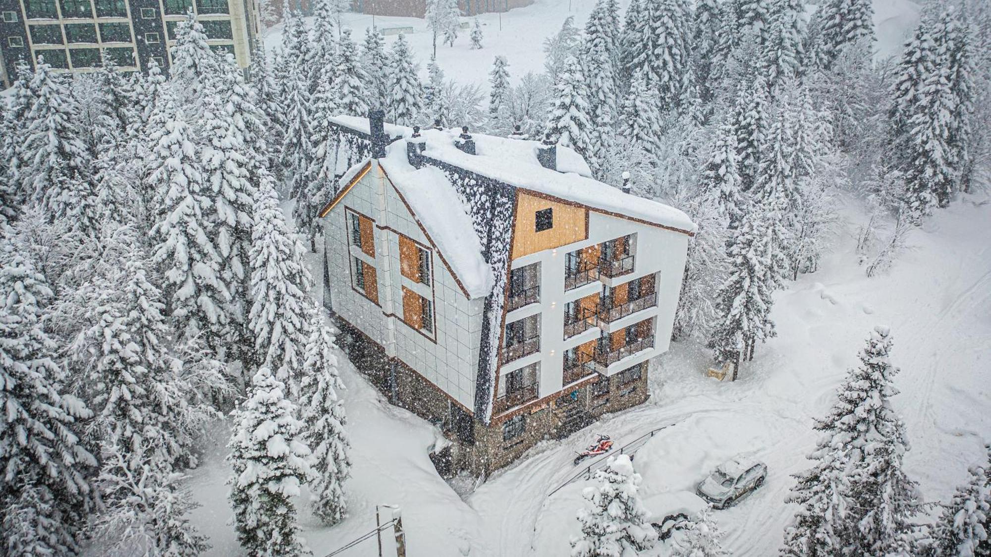 Forest Villa Goderdzi Kültér fotó