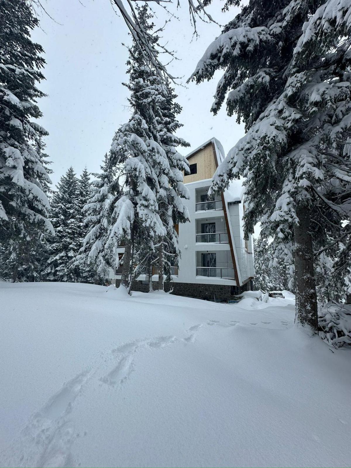 Forest Villa Goderdzi Kültér fotó
